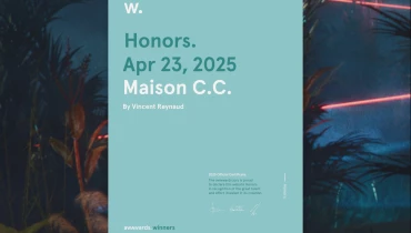 Vincent Reynaud - Award 1