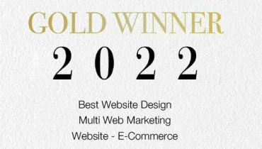 MultiWebMarketing - Award 5
