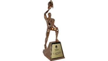 MultiWebMarketing - Award 1