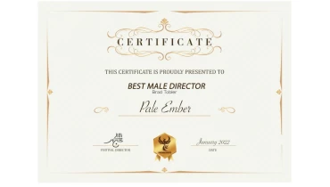 Imagine That Films - Award 6