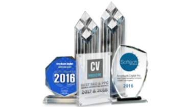 Amplitude Digital Inc. - Award 1