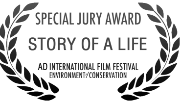 Doleep Studios - Award 1