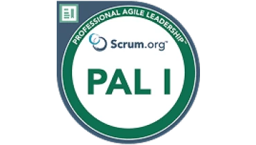 EsparkBiz Technologies Pvt Ltd - Award 9