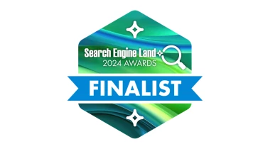 Digital Strike - Targeted Marketing - Award 5