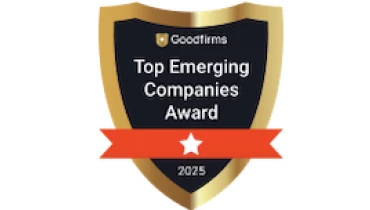 CodesClue Technologies LLP - Award 1