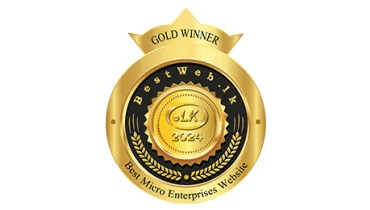 Elegant Digital Solutions - Award 8