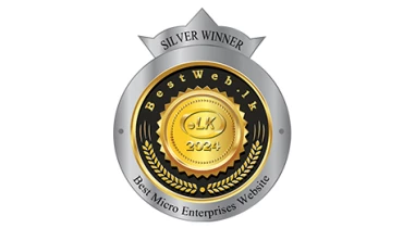 Elegant Digital Solutions - Award 9