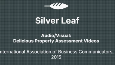 Peppered Pixels Design Studio - Award 2