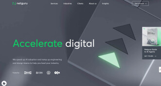 Netguru Homepage