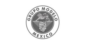 Grupo modelo