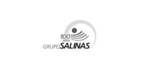 Grupo Salinas