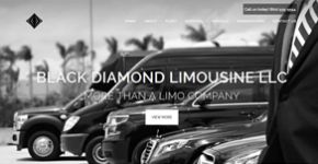 Black Diamond Limousine LLC