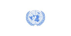 NGO United Nations