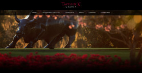 Tavistock Group