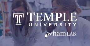 Temple University
