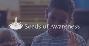 Seeds of Awareness