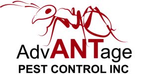 Advantage Pest Norcal
