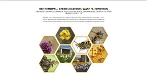 Beebusters