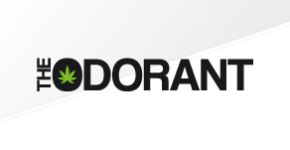 The Odorant