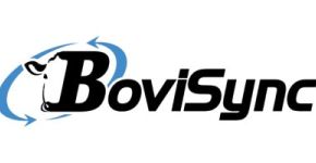 BoviSync
