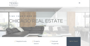Terri Buseman - Chicago Real Estate