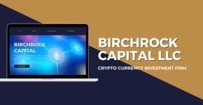 Birchrock Capital LLC