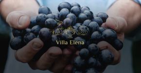 Villa Elena