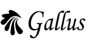 GALAXY GARMENTS