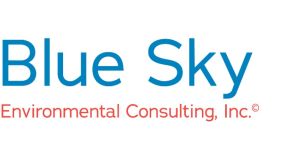 Blue Sky Consulting