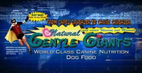 Gentle Giants