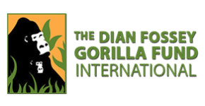 The Dian Fossey Gorilla Foundation