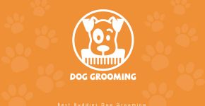 Best Buddies Dog Grooming