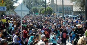 The Swamp Cabbage Festival