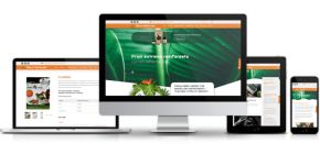Revv Naturals