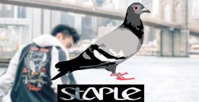 Staple Pigeon