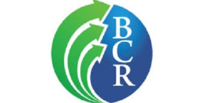 Business Credit Report, Inc.