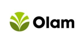 Olam