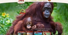 Wild Planet Adventures