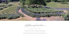 Victoria's Lavender