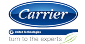 Carrier