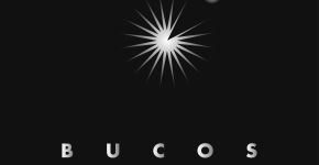 Bucos