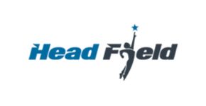 Head field Solution