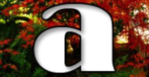 Accent Inc