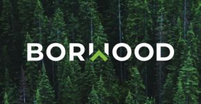 Borwood