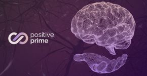 Positive Prime