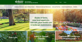 Shades of Green