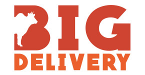 Bigdelivery