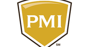 pmi.com