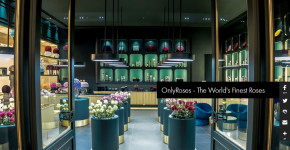 OnlyRoses
