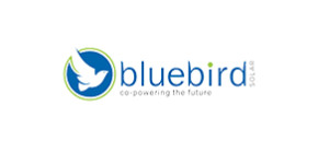 bluebird